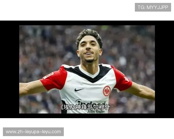 埃及籍英超球员表现及赛场贡献 埃及籍英超球员表现及赛场贡献