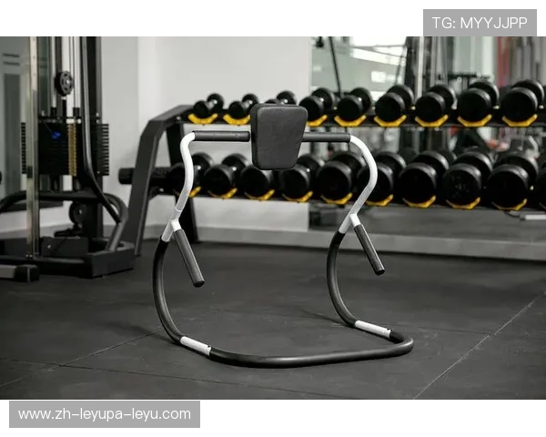 美国市场上流行的轮式健身器材分类与功能解析