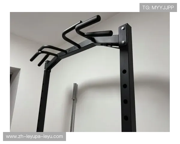 预算三千元内高性价比健身器材组合方案推荐 预算三千元内高性价比健身器材组合方案推荐