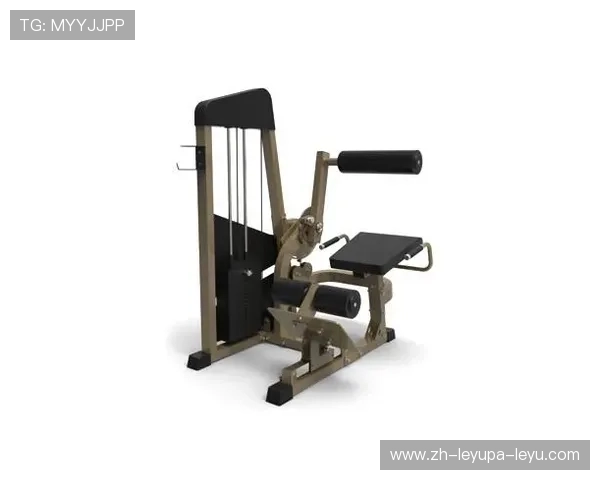 国产品牌健身器材推荐及市场竞争力分析