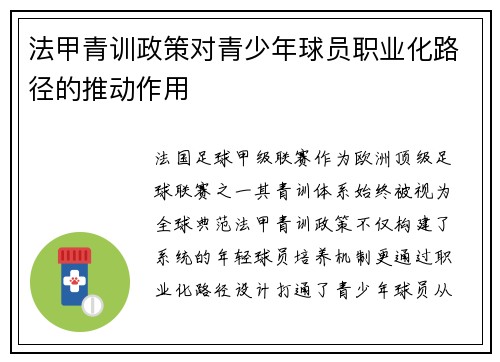 法甲青训政策对青少年球员职业化路径的推动作用