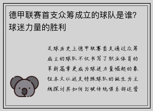 德甲联赛首支众筹成立的球队是谁？球迷力量的胜利